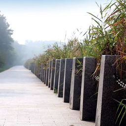 中邦園林兩項(xiàng)工程榮膺2018年度中國園林綠化優(yōu)秀施工項(xiàng)目