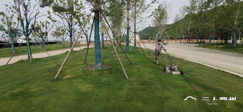 鄂州首個(gè)水上植物園即將開園，配套大橋與園林綠化工程全面提升生態(tài)景觀