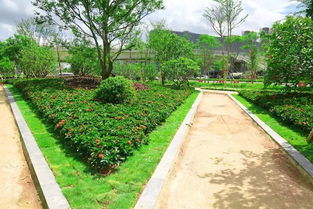 土壤改良技術(shù)在園林綠化工程施工中的實(shí)際運(yùn)用