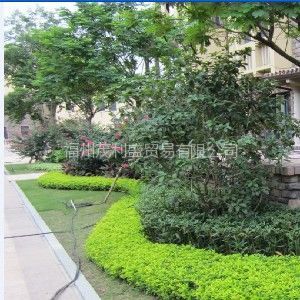 福州園林綠化 設(shè)計(jì)、施工與工程實(shí)例全覽