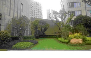 綠化工程網 園林綠化工程施工全流程解析