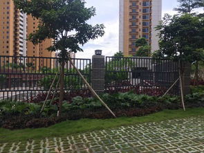 深圳羊臺苑小區綠化工程 構建都市生態人居典范